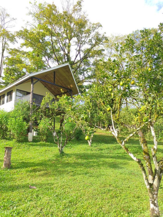 Hacienda Mil Bellezas - Private 40Ha Jungle Reserve Quepos Kamer foto