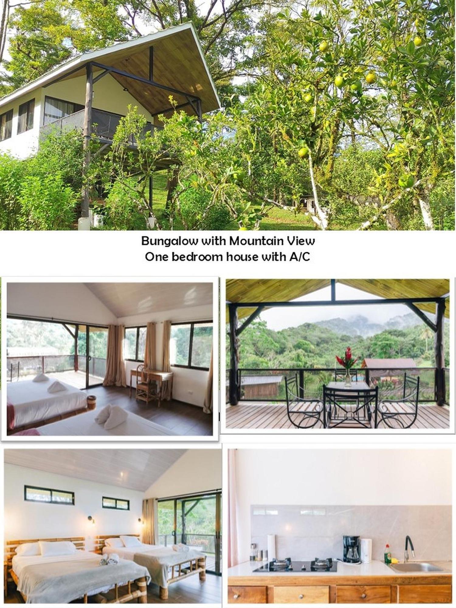 Hacienda Mil Bellezas - Private 40Ha Jungle Reserve Quepos Buitenkant foto