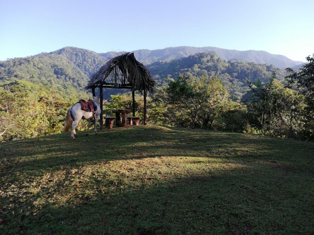 Hacienda Mil Bellezas - Private 40Ha Jungle Reserve Quepos Buitenkant foto